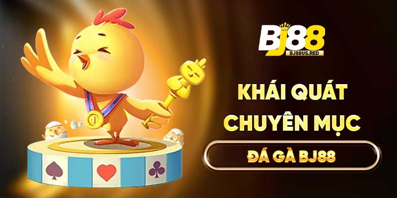 Khái quát chuyên mục Đá gà BJ88