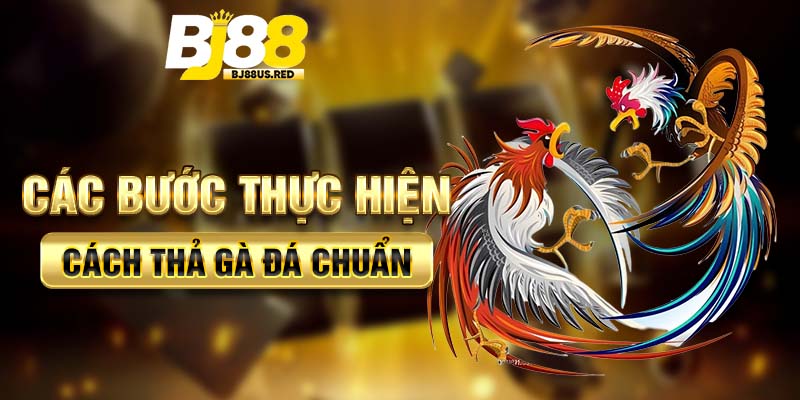 Các bước thực hiện cách thả gà đá chuẩn